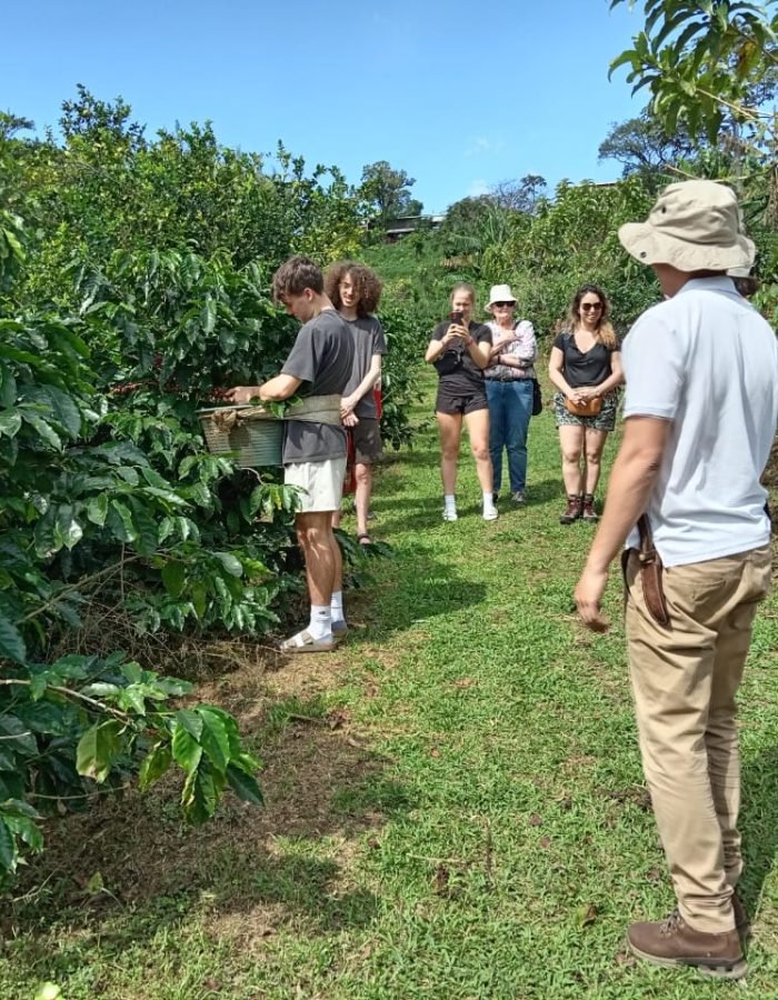 coffee tour real farm