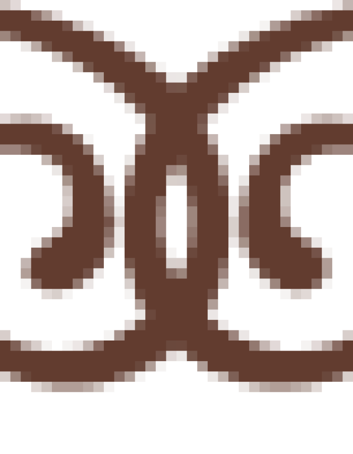 ornament 1